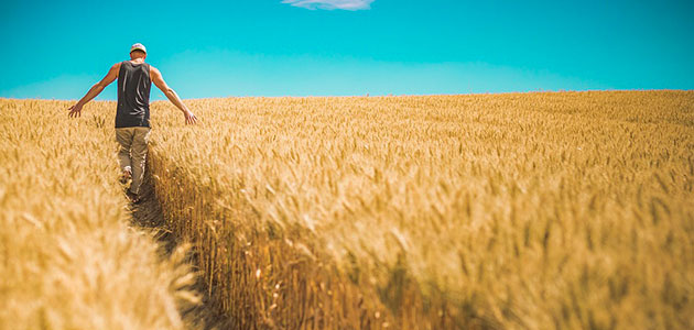 KENTSEL DÖNÜŞÜMDEN “KIRSAL” DÖNÜŞÜME