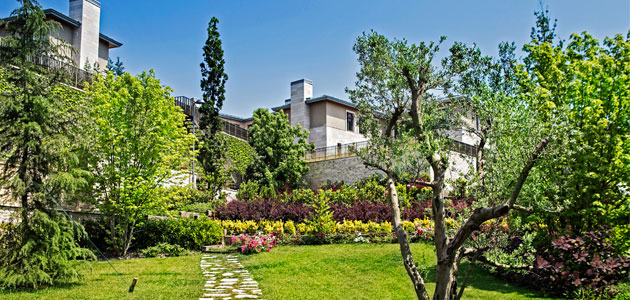 Ormanada’da 2,19 TL Sabit Dolar Kuru Fırsatı İçin Son Gün 31 Ekim!