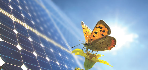 Vefa, güneş enerjisinden elektrik üretecek