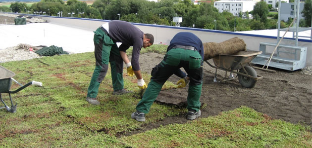 Yeşil Çatılar, Sel Riskini Azaltıyor