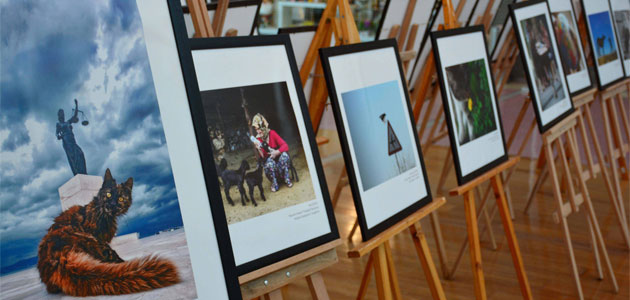 Ödüllü Hayvan Hakları Fotoğrafları Adana Optimum' da Sergileniyor