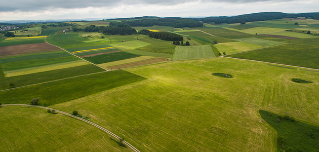 Arazi Bölme İşlemi Hakkında Bilmeniz Gerekenler 