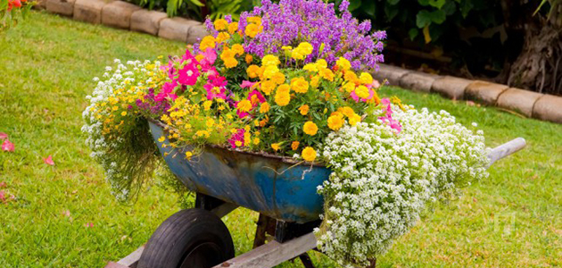 Bahçenizde Yaz Hazırlığı 