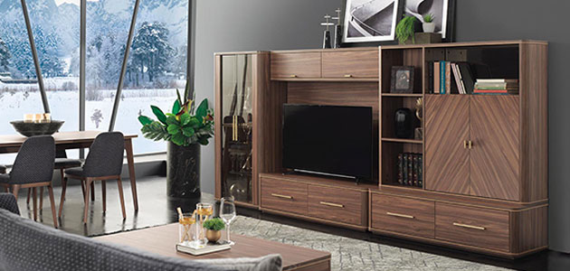 TV Ünitesi Modelleri ve Seçim Önerileri