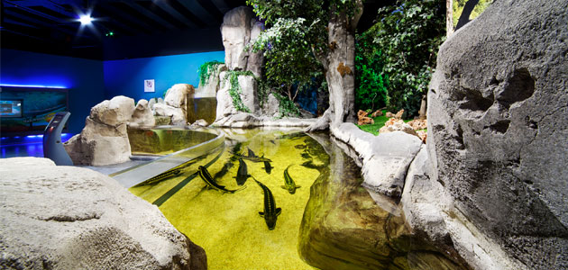 İstanbul Akvaryum’dan Anneler Günün’ne Özel Kampanya