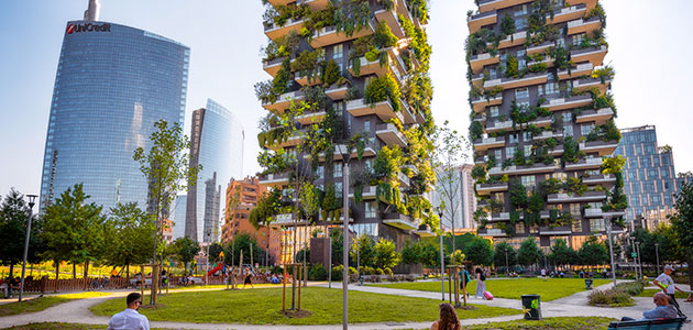 Ağaç İçinde Yapılaşma Başlıyor