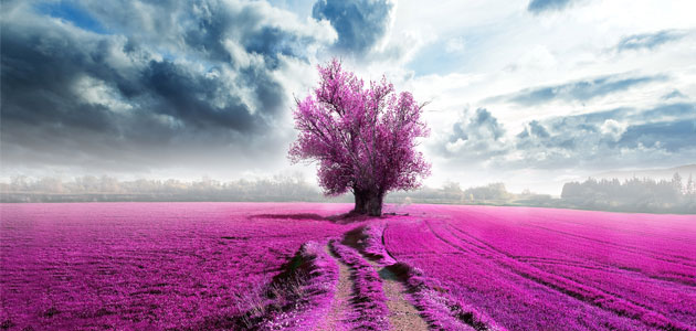 ZUBİZU Kullanıcılarına Özel Vestel Ayrıcalığı