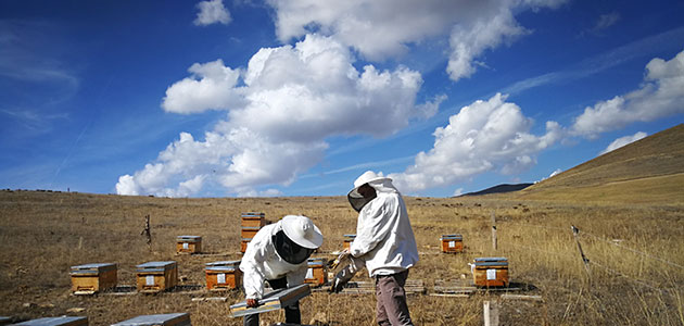 TANAP'TAN 20 İle Büyük Destek