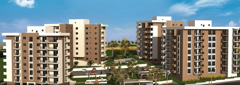 PALMİYE PARK ZİRVEKENT